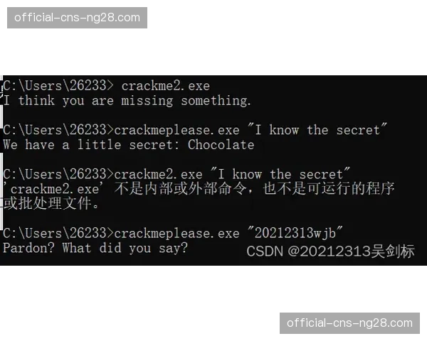 深度报道：从Second Spectrum到Sportradar，实时数据服务商竞争如何重塑NBA转播叙事